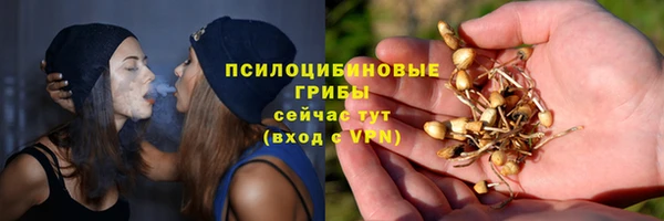 apvp Алексин